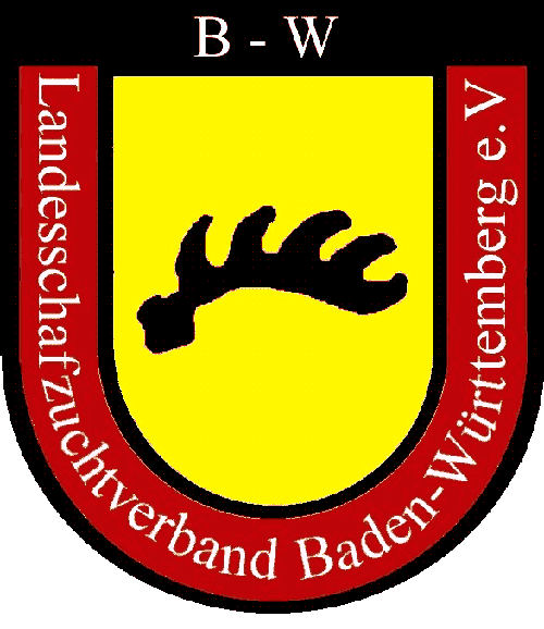 Unsere Schafe