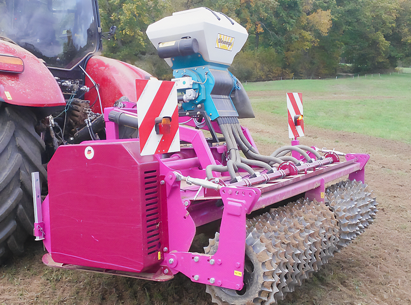 llustration eines Wiesenengels mit Feenflügeln über einer blühenden Sommerwiese